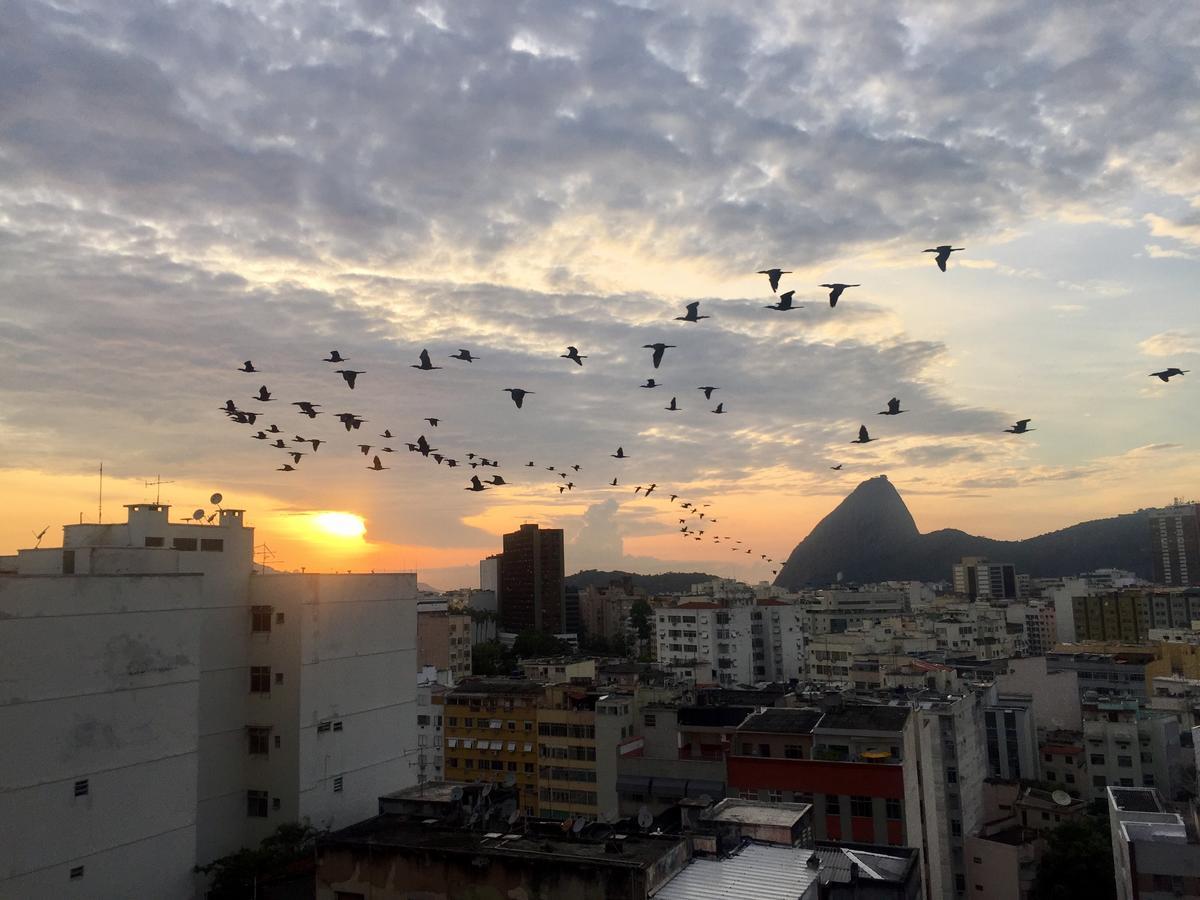Loft Catete Rio de Janeiro Exterior foto